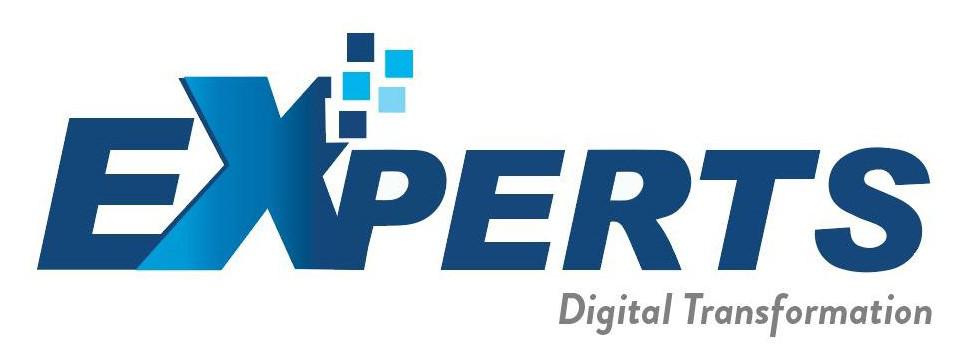 Experts ( Digital Transformation )
